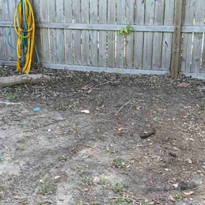 Leaf Removal by electric landscaping llc reviewed on December 17, 2024