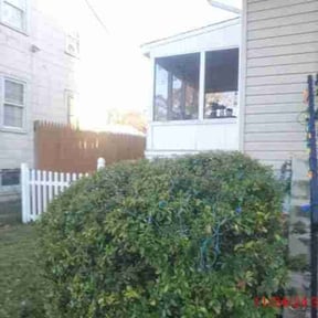 Bush Trimming by AP Landscapers reviewed on September 3, 2024