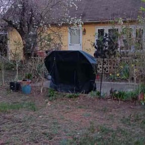 Cleanups by Whites property maintenance reviewed on March 28, 2022