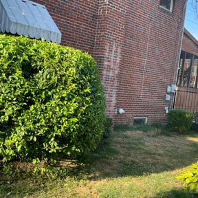 Bush Trimming by Smitty's Lawncare and Snow Removal reviewed on July 21, 2025