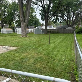 Weeding by Emerald Green Property Management LLC reviewed on May 11, 2022