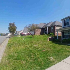 Weeding by Lucky Lawn reviewed on August 4, 2022