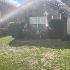 Bush Trimming by Paradise Lawn Service reviewed on May 21, 2025