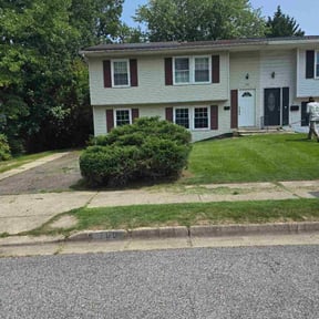 Bush Trimming by Clutch Driver Express LLC reviewed on April 9, 2025