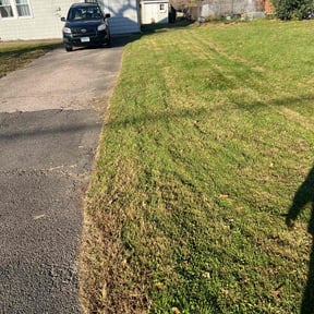 Leaf Removal by Tried & True Landscape reviewed on April 7, 2022