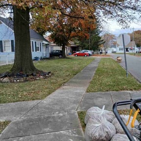 Leaf Removal by Jstotalservices reviewed on August 2, 2021