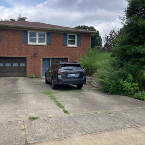 Bush Trimming by Amie&#039;s Clean Cut Lawns and More reviewed on July 30, 2022