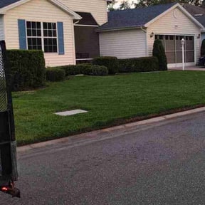 Bush Trimming by Done Right Handyman Services LLC. reviewed on June 25, 2025