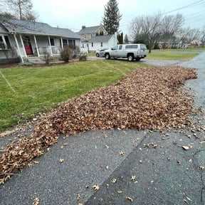 Leaf Removal by Y.A.Y Landscaping reviewed on May 12, 2025