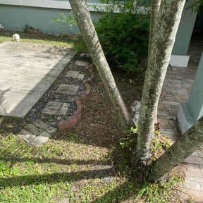 Flower Bed Weeding by Grass Kept Clean & More reviewed on June 21, 2022