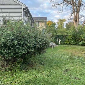 Bush Trimming by Trash Cupid Rental reviewed on March 26, 2022