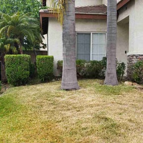 Cleanups by Duartes Lawn Service reviewed on July 21, 2020