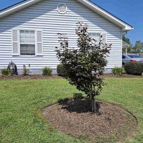 Bush Trimming by Dortch Demo and cleanup reviewed on April 30, 2022