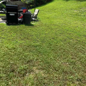 Cleanups by Creative property lawn & landscaping reviewed on July 31, 2022