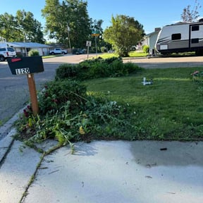 Bush Trimming by Benitez landscape reviewed on July 8, 2022