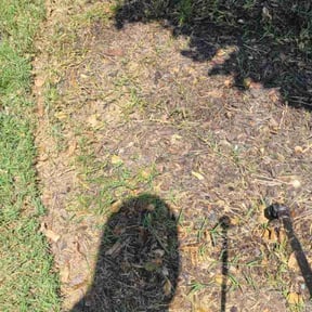 Flower Bed Weeding by Keep it green lawncare reviewed on July 13, 2022