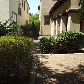 Bush Trimming by E&E Landscape Services reviewed on November 15, 2024
