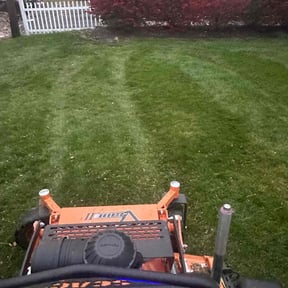 Leaf Removal by Zeroslandscape reviewed on June 30, 2022