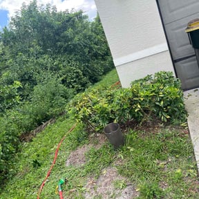 Bush Trimming by MB lawn care reviewed on September 8, 2020