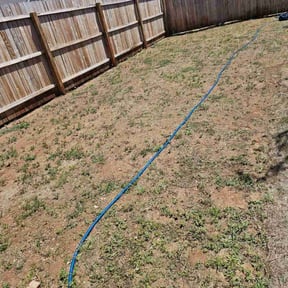 Weeding by LSLTAustin/SanAntonioEmerald reviewed on February 27, 2025