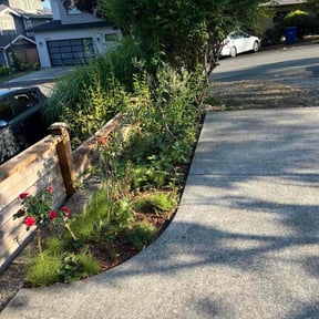 Bush Trimming by Big Boy Landscaping reviewed on July 20, 2025