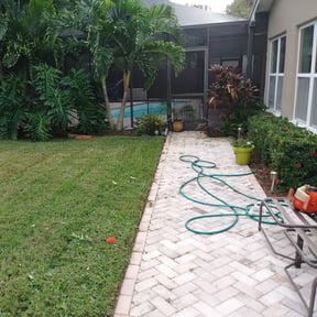 Bush Trimming by Momentum Lawn Care & Services reviewed on January 31, 2025