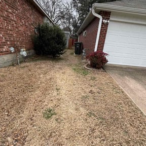 Leaf Removal by Gabriel Landscape reviewed on November 15, 2024