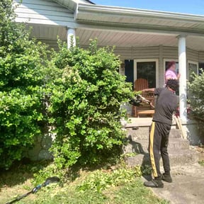 Bush Trimming by Onyx Blade Lawncare reviewed on August 9, 2024