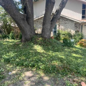 Flower Bed Weeding by Pro-Lawn-Care 1 reviewed on April 18, 2025