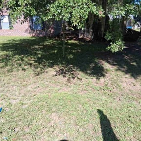 Leaf Removal by CnA Lawn and landscape reviewed on July 17, 2022