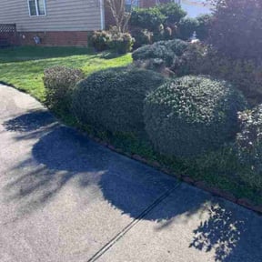 Bush Trimming by Household Maintenance & Lawn Care Services reviewed on December 16, 2024