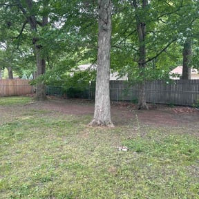 Cleanups by Forever Green Landscape reviewed on June 12, 2022