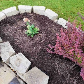 Mulching by Stephen's Lawns reviewed on July 9, 2020
