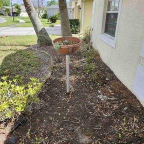 Leaf Removal by RTH Lawn Service & Landscaping LLC reviewed on July 6, 2025