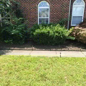 Flower Bed Weeding by Pro grow landscapeing reviewed on July 16, 2022