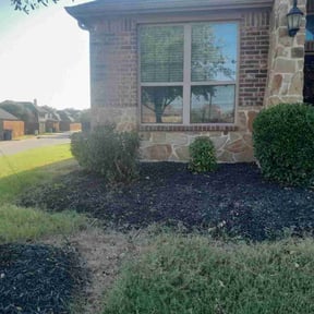 Bush Trimming by R &amp; C Landscaping reviewed on July 16, 2025