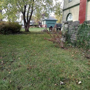 Leaf Removal by Mr. Larrys Yard Maintenance LLC reviewed on July 19, 2022