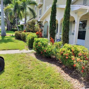 Bush Trimming by Salvador Lawn and Tree Service reviewed on January 7, 2024