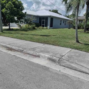 Bush Trimming by Ramirez Landscaping&Tree Service reviewed on May 25, 2022