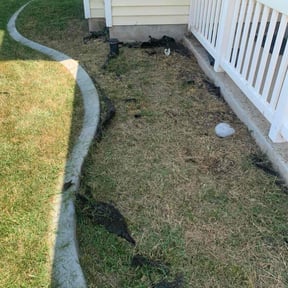 Flower Bed Weeding by East Side Property Services LLC reviewed on June 3, 2022