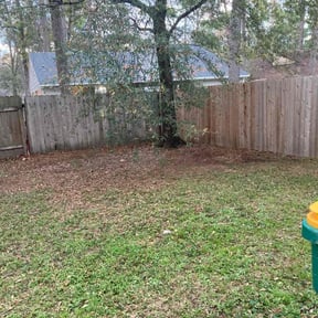 Leaf Removal by RW 's Home & Buisness Solutions reviewed on August 18, 2019