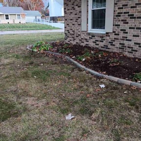 Leaf Removal by Iowa Lawn and Plow, LLC reviewed on July 6, 2022