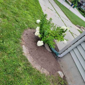 Flower Bed Weeding by Kenosha Lawn Care reviewed on October 14, 2024