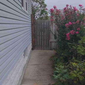 Bush Trimming by Florida LawnScapers LLC reviewed on July 15, 2022
