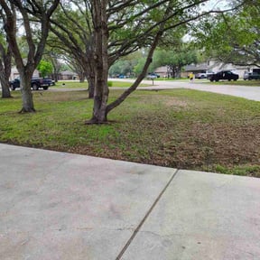 Leaf Removal by Dirty Boy Land & Lawn reviewed on May 31, 2022