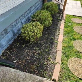 Cleanups by Contreras Outdoors reviewed on August 14, 2024