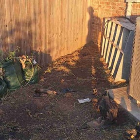 Flower Bed Weeding by Swamp creek reviewed on August 5, 2025