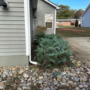 Bush Trimming by Carlos Tapia reviewed on August 12, 2024