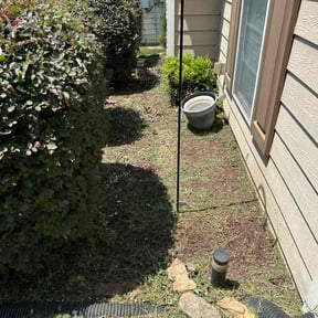 Flower Bed Weeding by Webb's Lawn Care reviewed on August 23, 2024