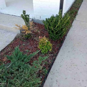 Flower Bed Weeding by Green Collar Lawns reviewed on May 12, 2022